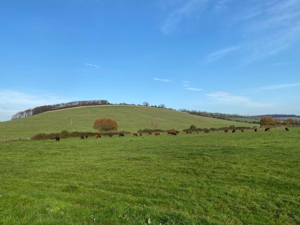Charlton End - Goodwood Events Bed & Breakfast Чичестър Екстериор снимка